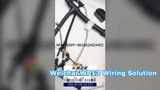 KBZE 1006889780 WEICHAI WP13 محرك الأسلاك لشاحنة تفريغ التعدين LGMG SANY XCMG TONLY